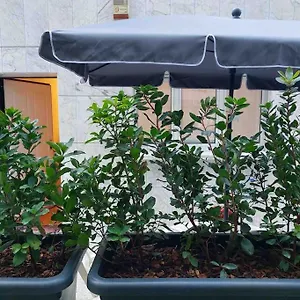 Appartamento Con Terrazzo